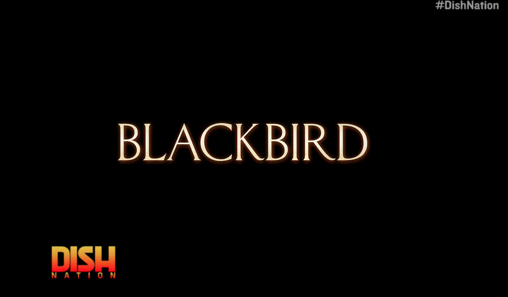 Blackbird
