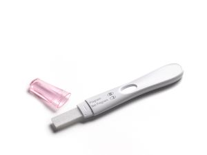 Pregnancy tester